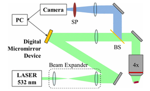 Soft continuous microrobots with multiple intrinsic degrees of freedom